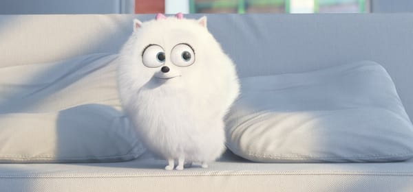 Обои The Secret Life of Pets, cinema, pad, movie, Universal Pictures, Illumination Entertainment, animal, leash, pet, adventure, Jenny Slate, puppy, Gigi, hair top, film, family, white fur, drawing, dog, official, white, big eyes, couch, comedy, cartoon, living room, graphic animation