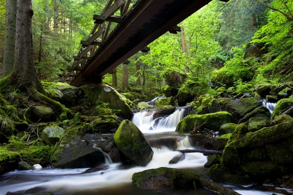 Обои Ravennaschlucht, Black Forest, Шварцвальд, Баден-Вюртемберг, лес, Германия, река, мост, камни, Baden-Württemberg, каскад, Germany