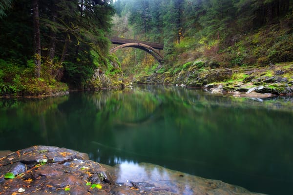 Обои Moulton Falls Regional Park, Washington, лес, Яколт, Lewis River, река Льюис, штат Вашингтон, мост, Yacolt, река