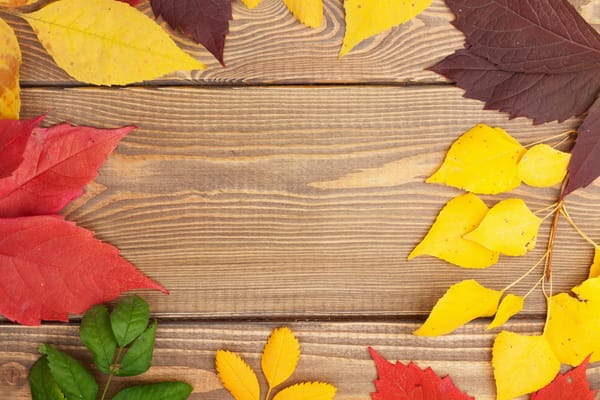 Обои autumn, leaves, wood, осенние листья, дерево, texture, colorful