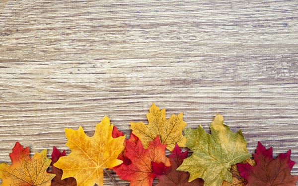 Обои autumn, wood, дерево, leaves, осенние листья, texture, colorful