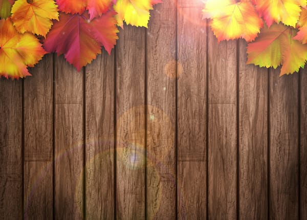 Обои autumn, осенние листья, texture, wood, leaves, colorful, дерево