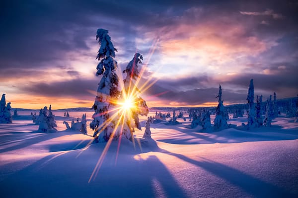 Обои Winter Paradis, солнце, снег, деревья