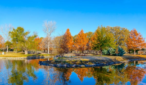 Обои Clark Gardens, США, листья, деревья, багрянец осень, пруд, ботанический парк, Техас