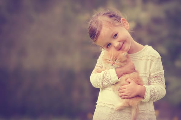 Обои девочка, рыжий котёнок, друзья, настроение, котёнок, улыбка