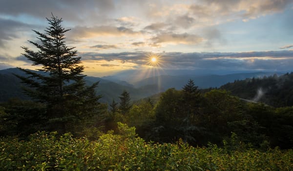 Обои Waterrock Knob, Северная Каролина, горы, Blue Ridge Parkway, закат, North Carolina, Plott Balsam Mountain