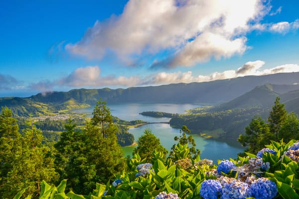 Обои Lagoa das Sete Cidades, Португалия, остров Сан-Мигел, Portugal, озеро, Sete Cidades Massif, панорама, Азорские острова, облака, кратер, Azores, озеро Сети-Сидадиш, стратовулкан, Lagoon of the Seven Cities, São Miguel Island, цветы, гортензия