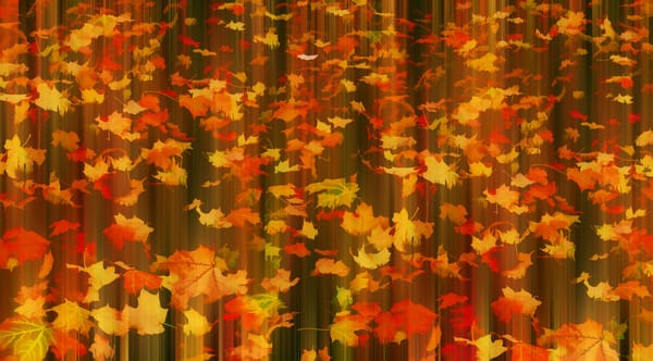 Обои Fall in motion, ❖, листья, осень