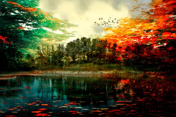 Обои Colors of autumn, осень, обработка, краски