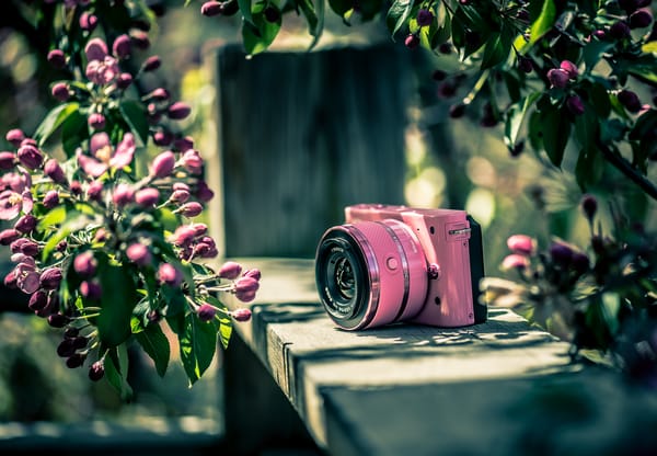 Обои Nikon, фотоаппарат, цвет