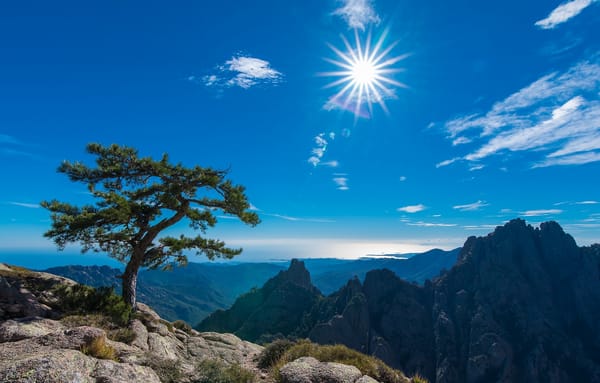 Обои Aiguilles de Bavella, Bavella Needles, солнце, Corsica, дерево, Иглы Бавеллы, Конка, Франция, France, горы, Conca, Корсика, небо