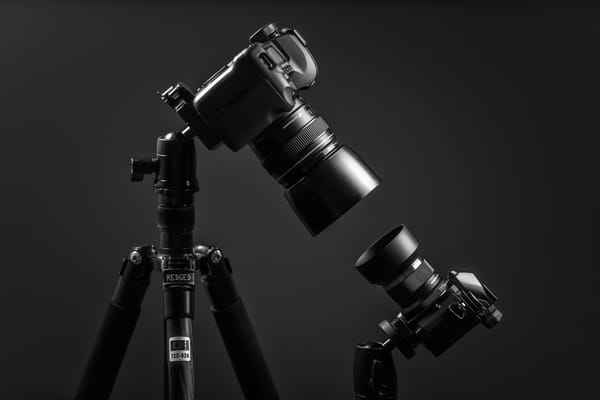 Обои David, Olympus OM-D E-M10, Goliath, Canon EOS 5D mk II