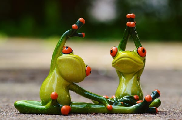 Обои frog, фитнес, гимнастика, спорт, лягушка, лягушки, смешной, фигурки, игрушки, йога