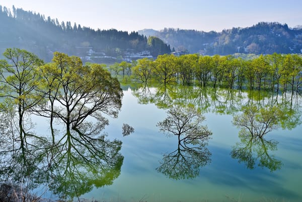 Обои Lake Shirakawa, Ииде, Yamagata, Japan, озеро Сиракава, деревья, Iide, Япония, озеро, отражение, Ямагата