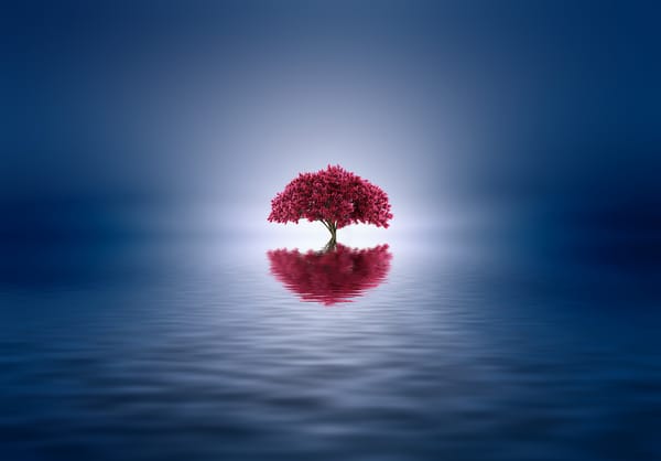 Обои озеро, Josep Sumalla, отражение, дерево, стилизация, цвет, краски