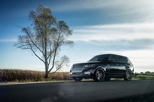 Обои range rover, внедорожник, car, дерево