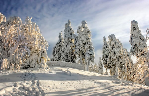 Обои Harz National Park, зима, Германия, снег, Germany, Национальный парк Гарц, деревья