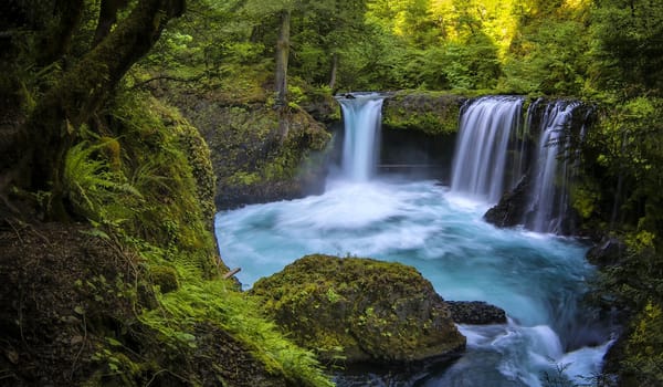 Обои Spirit Falls, ущелье реки Колумбия, река, Columbia River Gorge, водопад, штат Вашингтон, лес, Washington, Little White Salmon River