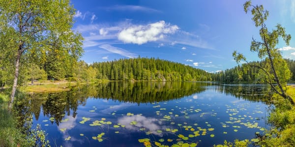 Обои Skjennungen Lake, отражение, озеро, Oslo County, Норвегия, деревья, лес, Norway, лето