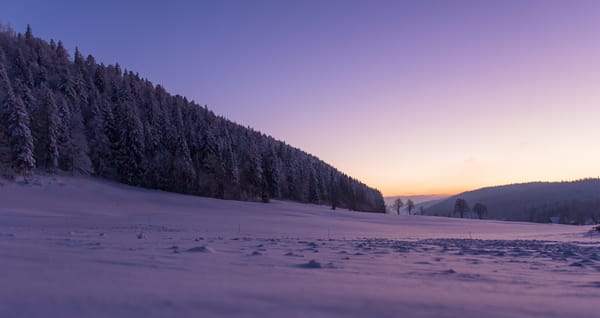 Обои La Sagne, Switzerland, La Chaux-de-Fonds, деревья, зима, Ла Сань, снег, Ла-Шо-де-Фон, Швейцария, лес