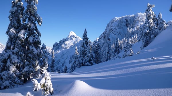 Обои North Shore Mountains, деревья, зима, Британская Колумбия, ели, Канада, Canada, горы Норт-Шор, Ванкувер, снег, сугробы, British Columbia, горы, Vancouver