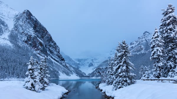 Обои Lake Louise, горы, снег, Альберта, Canada, Канадские Скалистые горы, ели, Banff National Park, зима, озеро Луиз, деревья, озеро, Национальный парк Банф, Alberta, Canadian Rockies, Канада