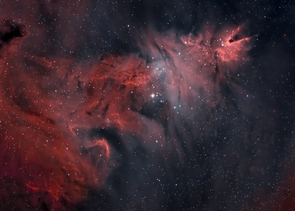 Обои NGC 2264, туманность Конус, Рождественская елка, и звездное скопление