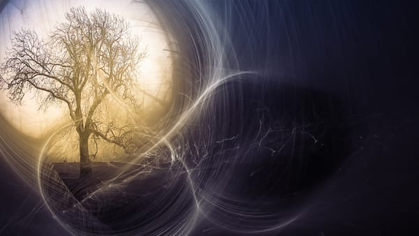 Обои дерево, ветер, природа