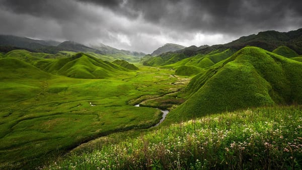 Обои Green Dzukou, природа, трава, Индия, река, цветы, граница между штатами Нагаленд и Манипур, горы, тучи