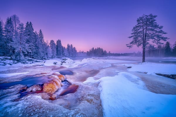 Обои Kiiminkijoki River, река Кииминкийоки, Finland, снег, зима, река, Финляндия, деревья