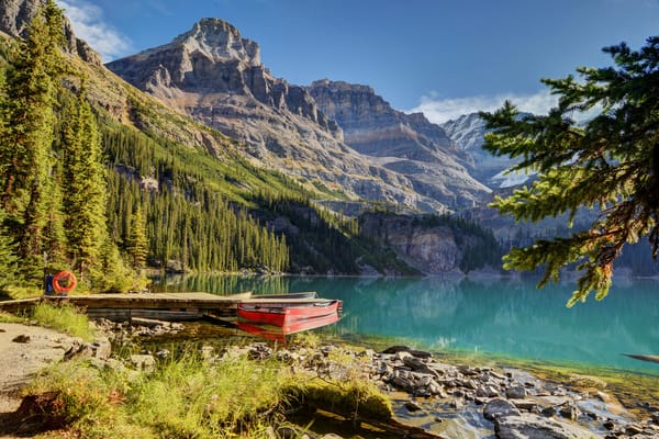 Обои горы, Yoho National Park, Канада, лес, пристань, Lake O'Hara, Canada, лодки, ели, озеро