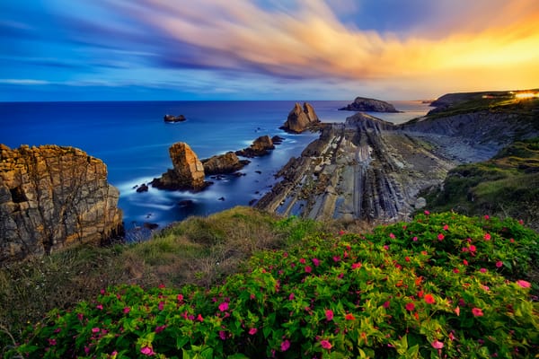 Обои Costa Quebrada, скалы, Bay of Biscay, Коста Куебрада, Испания, Spain, Cantabria, цветы, Бискайский залив, закат, Кантабрия, побережье, море
