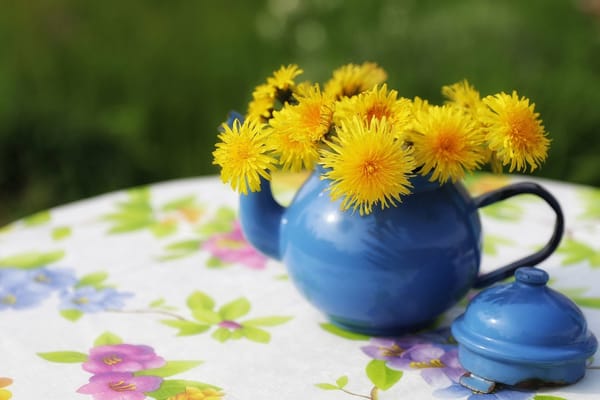 Обои стол, цветы, одуванчики, чайник