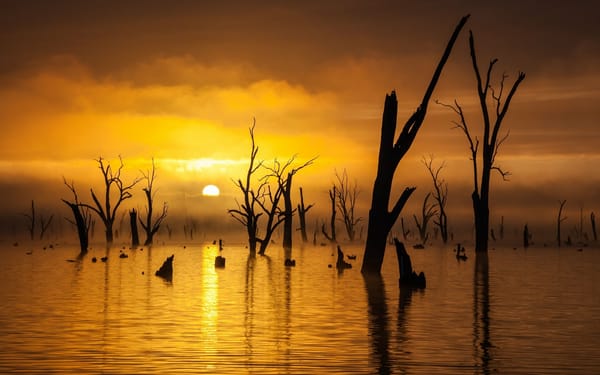 Обои Рассвет, озеро Мулвала, Lake Mulwala, Австралия, Australia