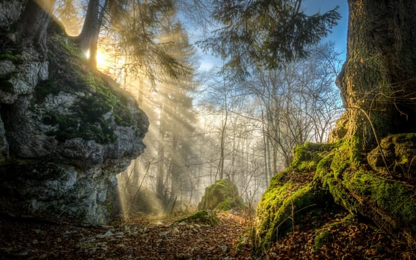 Обои Скалы, Германия, Germany, Горный массив Швабский Альб, Swabian Jura, Baden - Wurttemberg, Лес, Баден - Вюртемберг, Деревья