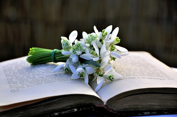 Обои книга, цветы, букет, подснежники