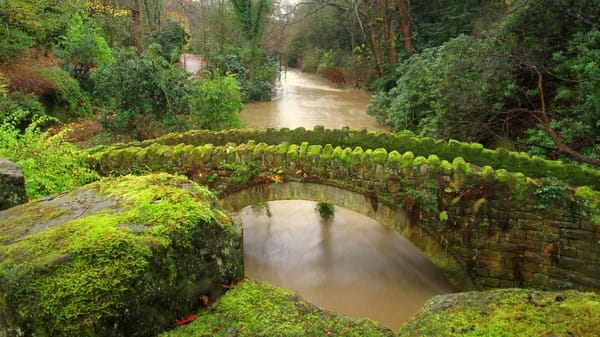Обои англия, jesmond dene, джесмонд дене, ньюкасл, newcastle, england, мост