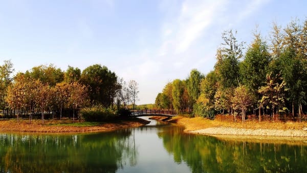 Обои речушка, лесопарк, осенний день, мостик