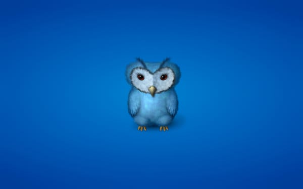 Обои owl, синеватый фон, минимализм, птица, сова, синяя