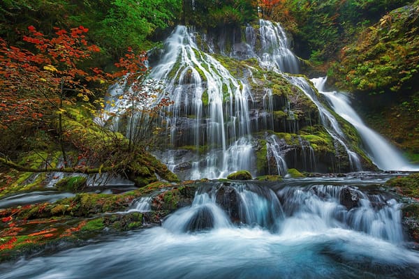 Обои panther creek falls, лес, gifford pinchot national forest, дерево, природа, водопад