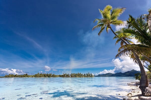 Обои eden, остров, природа, тропический, пальмы, french polynesia, пляж, море