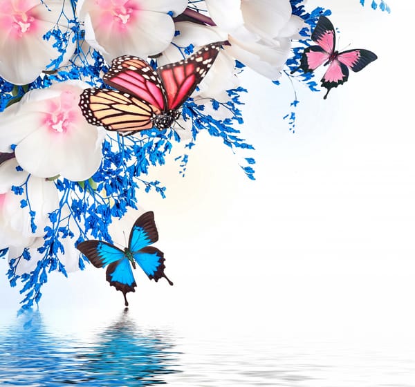 Обои butterflies, reflection, spring, flowers, water, весна, blossom, purple, tulips