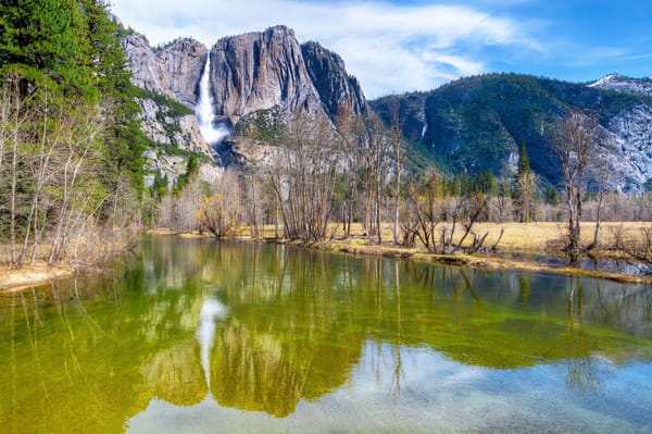 Обои горы, лес, sierra nevada, небо, река, деревья, national park, yosemite