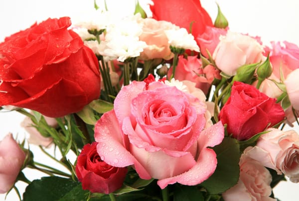 Обои flowers, букет из роз, красивая, bouquet of roses, цветы, beautiful
