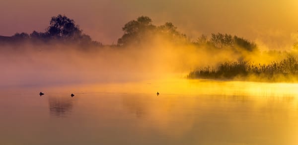 Обои озеро, гладь воды, желто-розовый туман