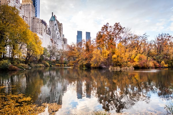 Обои небоскребы, пруд, америка, город, отражение, осень, нью йорк, New York City, сша, парк