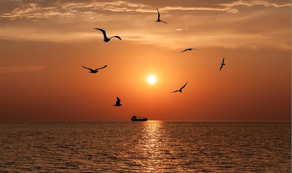 Обои море, Юрий Чернов, красный закат, корабль, чайки, залив, горизонт
