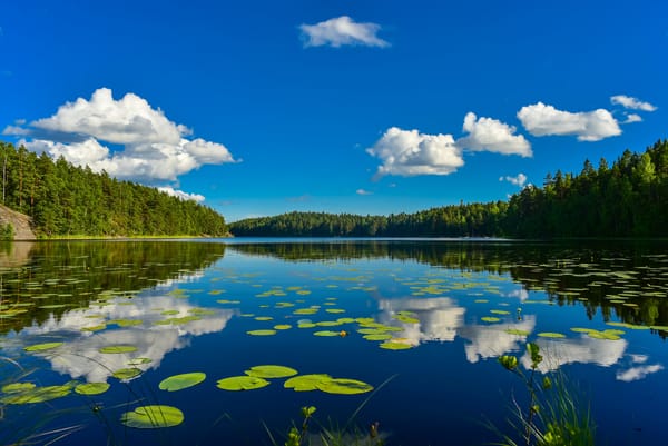 Обои Белые облака в небе и их отражение в озере, окруженном лесом, фотограф оdi