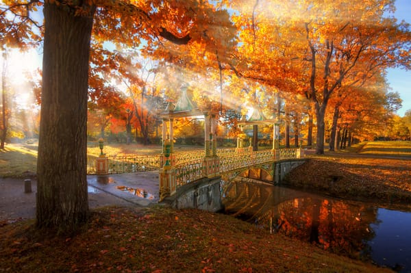 Обои осень, Ed Gordeev, природа, мостик, Царское Село, деревья, свет, Эд Гордеев, Гордеев Эдуард, Эдуард Гордеев, парк, канал, лучи