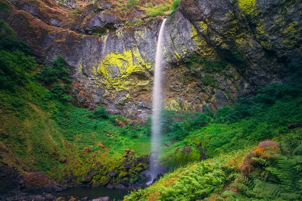 Обои скалы, растения, elowah-falls, elowah, heather west, водопад, сша, камни, орегон, папоротник